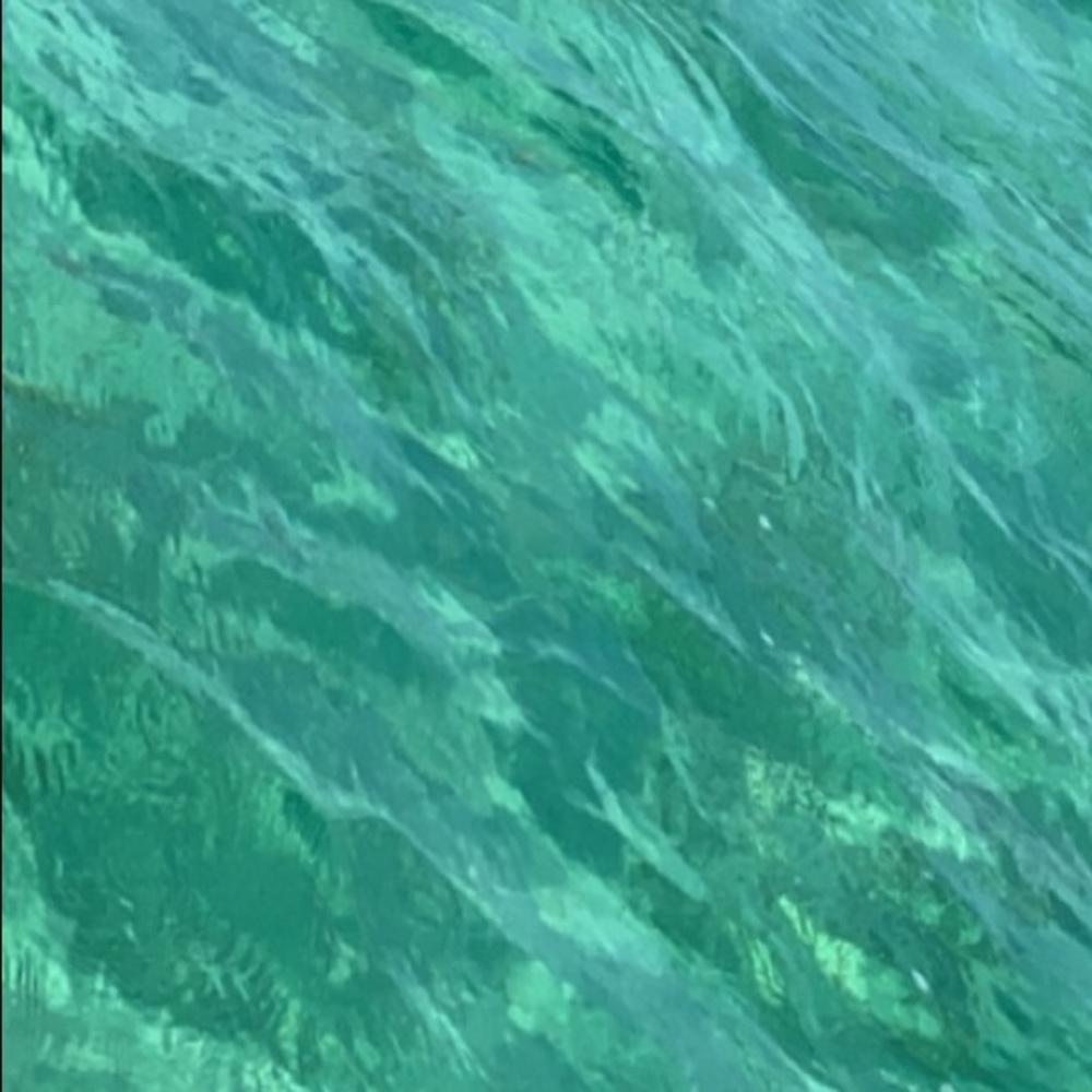 Meet your Posher, Lorelei